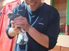 If you remember in Neymar's interview, he said that they captured pigeons; here I am holding one of them!