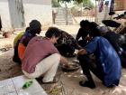 A group of men enjoying a typical Gambian lunch