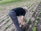 Helping my host family with farm work