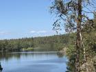 The view showing where I picked wild Swedish blueberries