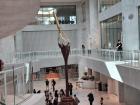 The Lindt Chocolate Museum's fountain is nine meters tall!