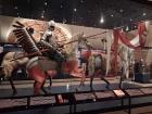 Half-painted war horses