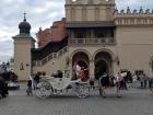 I saw a lot of horse drawn carriages!