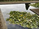 Pond in Granada