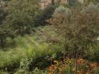 Landscape in Granada
