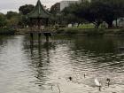 A photo of Drunken Moon Lake at National Taiwan University