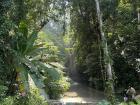 Hiking the sticky rice waterfalls in Chiang Mai!