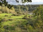 Beautiful nature trail in Cologne 