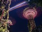 Gardens by the Bay in Singapore