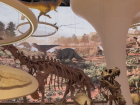 Darren loves visiting museums on the weekends