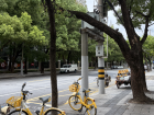 Darren rides these shared bikes with his family