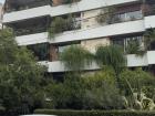 Apartment complex full of plants 