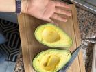 The avocados here are huge! They are the size of my hand.