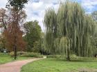 Strolling through the oldest park in Central Europe