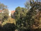 A view from out my apartment window!