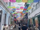 Colorful umbrellas over a street
