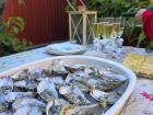 Fresh oysters, the first course of the kräftskiva