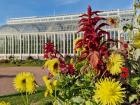 Botanical gardens in Gothenburg.