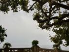 The balcony at the beautiful Villa del Balbianello where the famous kissing scene between Princess Leia and Anakin was filmed!