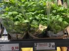 I bought this basil plant for the little herb garden I’m starting on my terrace