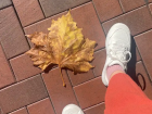I've never seen a leaf so big!