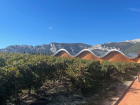 Laguardia vineyards and wineries