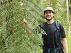 A tree fern grows in the warmer forest at lower elevations