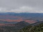 During fall in the Adirondacks, you can clearly see where the forest transitions with elevation