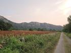 While running on this back road I found a good view of Taiwu mountain