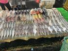 Fish at the morning market