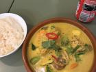 Vegan Vietnamese curry with rice