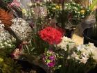 Nice bouquets at a local flower stand
