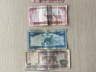 Common bills in Nepal, all featuring animals!