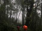 Walking through a foggy montane forest early on in our trek