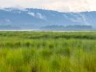 The Terai floodplain is an important region for Nepal, particularly in terms of agriculture