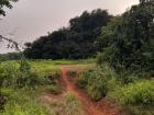 The lush green interior of Goa's landscape