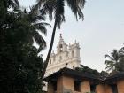 Palm trees are all around like here where they are framing the Immaculate Conception Church