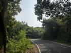 The lanes of my university