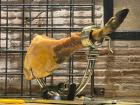 Jamon