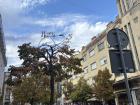 A sunny stroll down the street in Kragujevac, on my way to get burek!