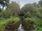 Trompenburg Arboretum in Rotterdam, NL