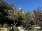 Enjoying some sun and fresh air in a garden in front of Salamanca's cathedral