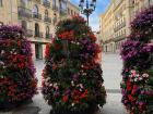 Bright pink, red and purple flowers in the streets of Salamanca, Spain
