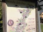 The full trail is about 20 kilometers, and I did seven of them