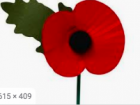 A paper poppy traditionally worn in the U.K. on Remembrance Day, November 11 (Google Images)