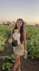 A Sunflower Field & Sunset in Autumn!