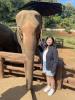 Beautiful elephants can be found at sanctuaries!