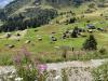 Hiking in the swiss mountains